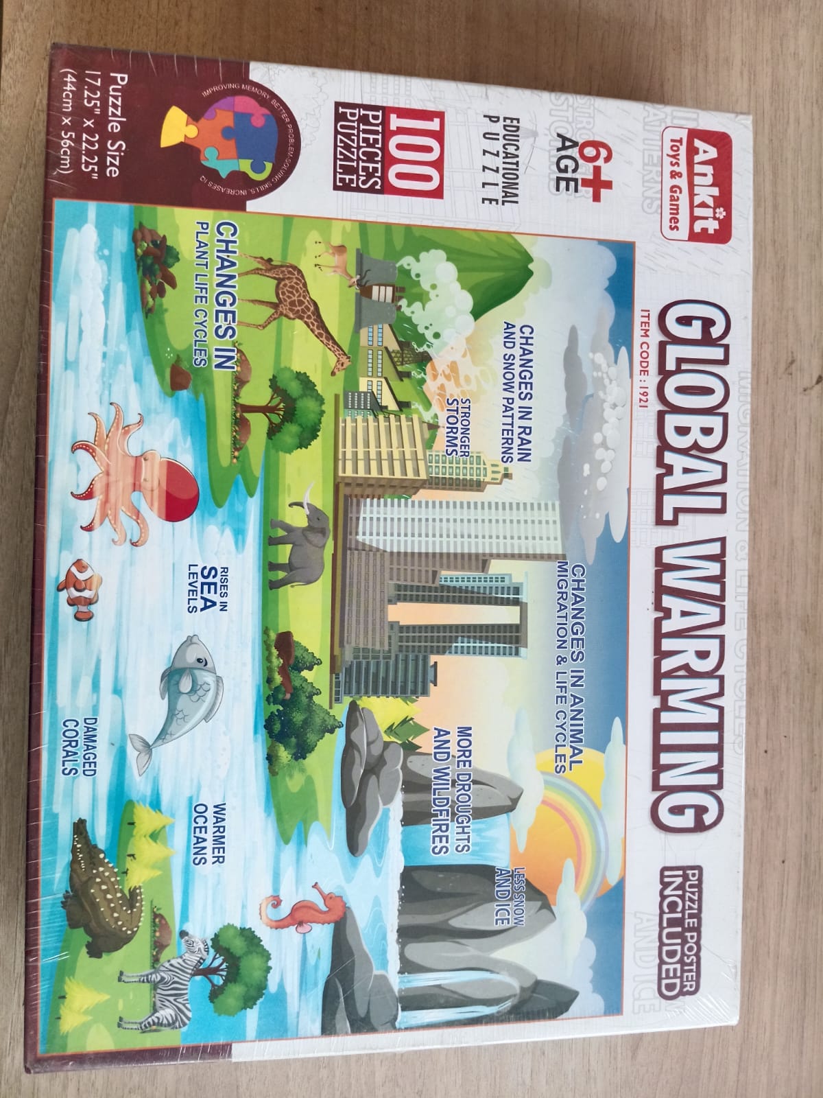 Global Warming Puzzle