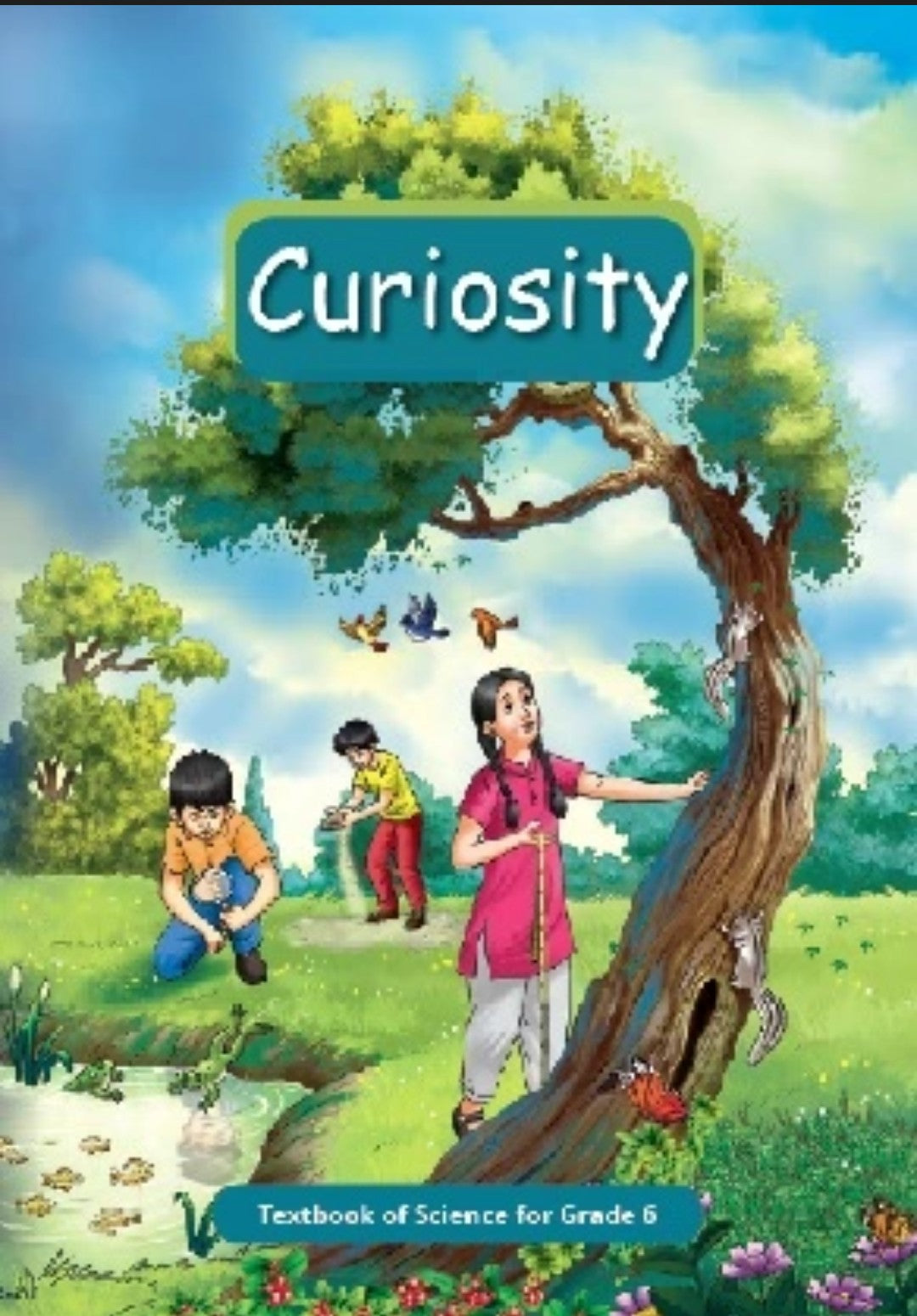 6 Ncert curiosity