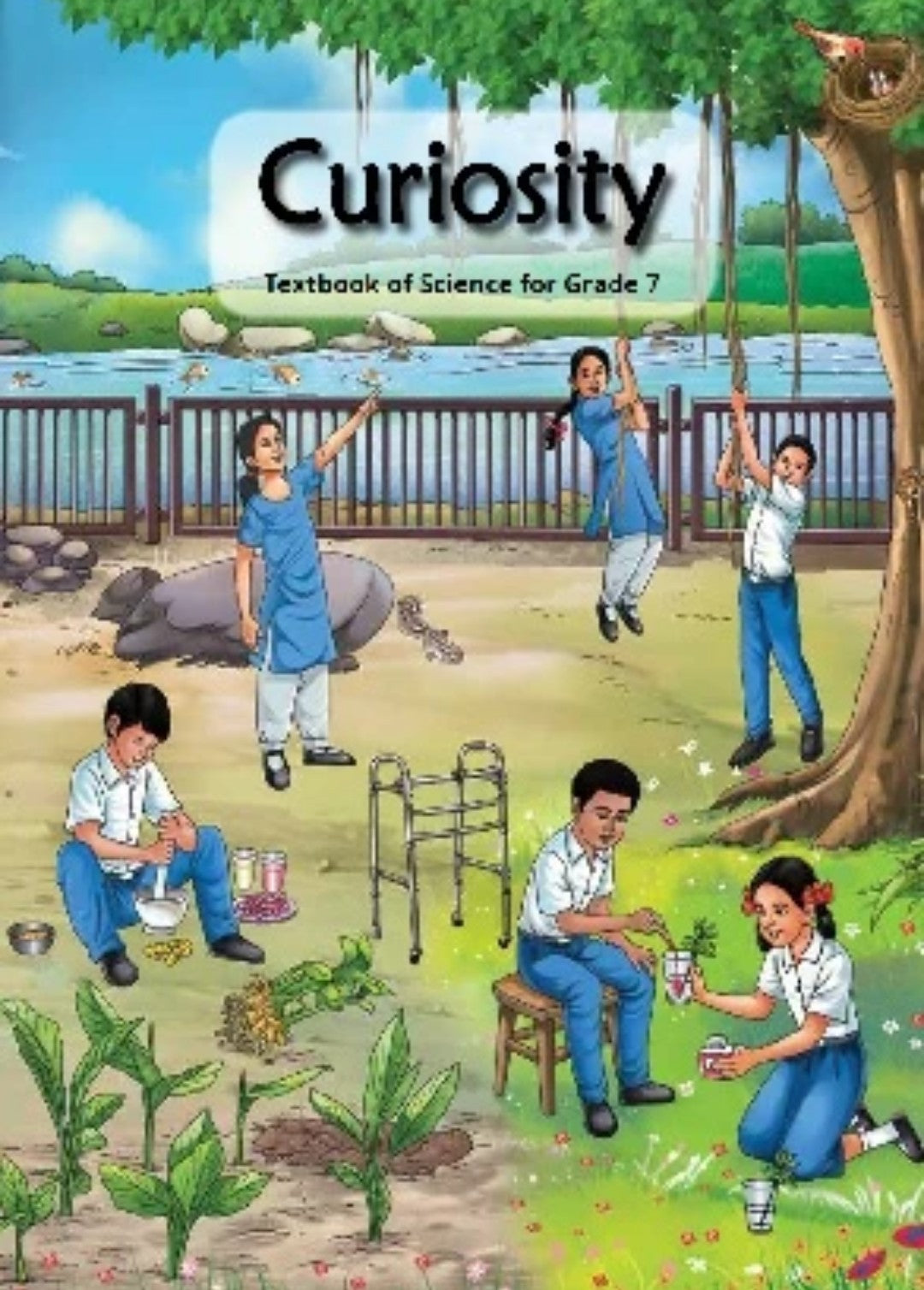 7 Ncert curiosity