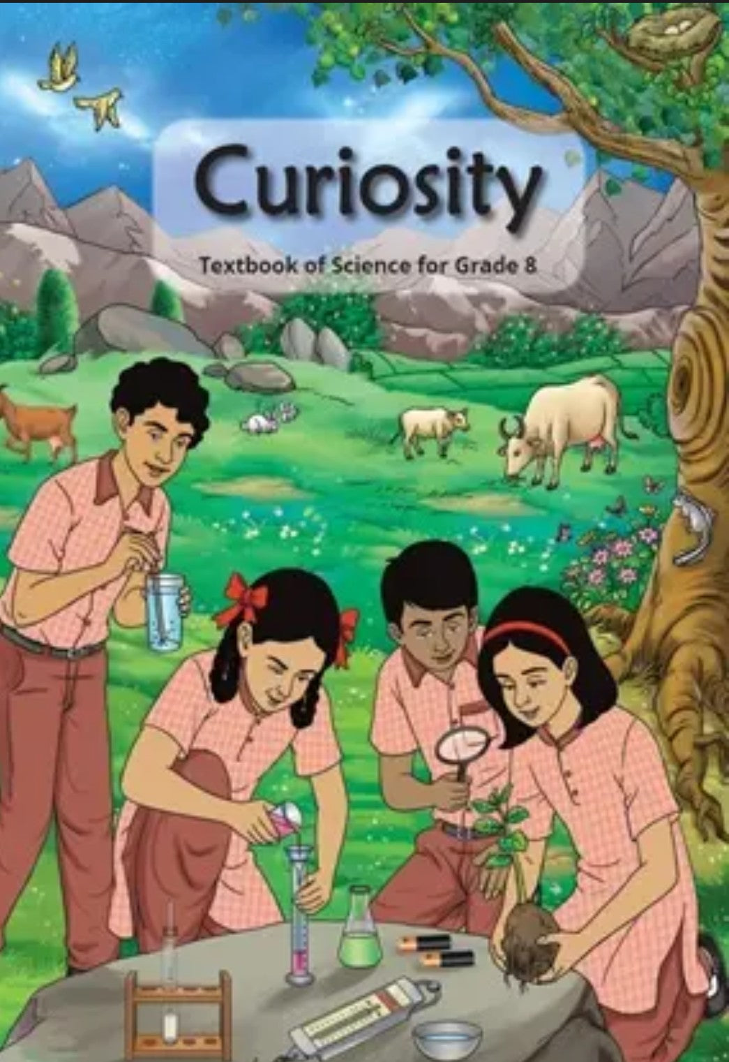 8 Ncert Curiosity