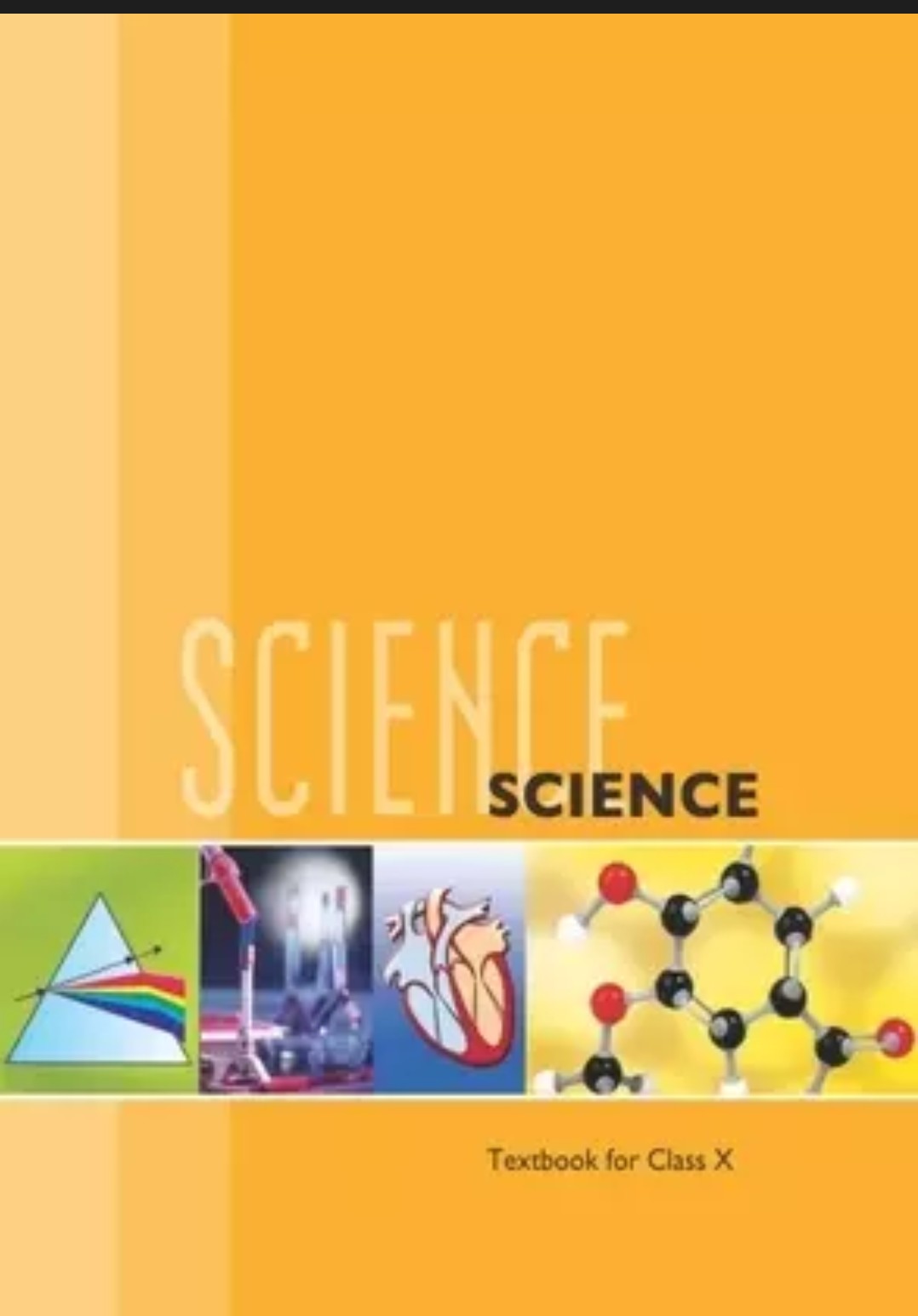 10 Ncert science